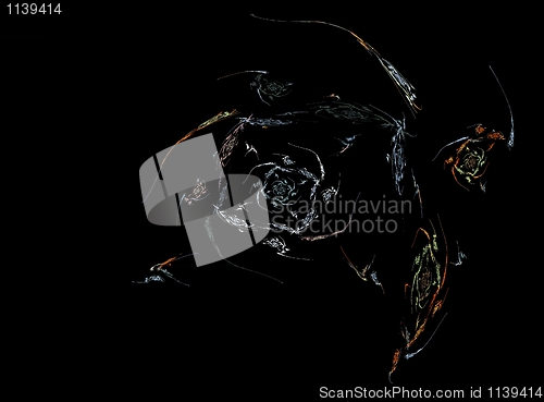 Image of Floral