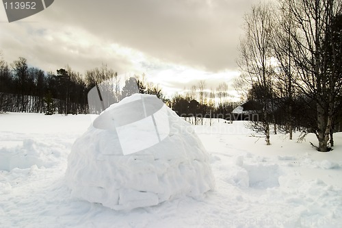 Image of Igloo