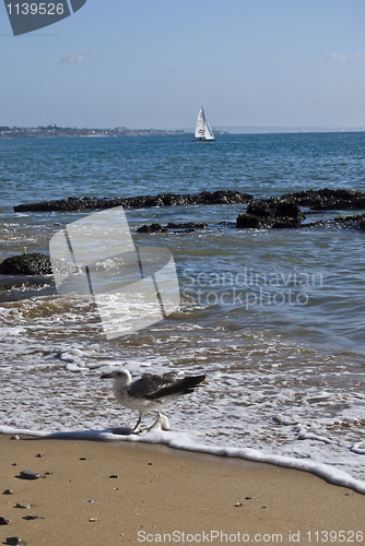 Image of Beach in Cascais