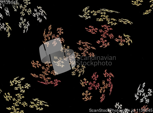 Image of Floral