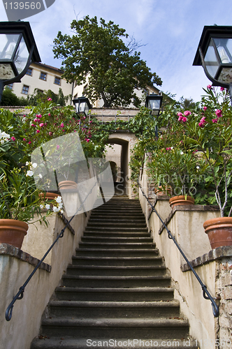Image of Castle garden