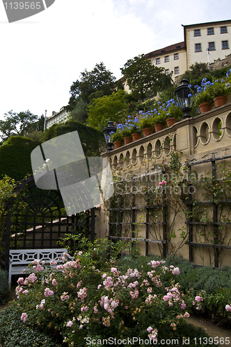 Image of Castle garden