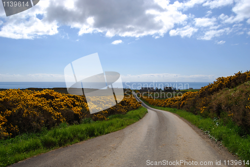 Image of Lonesome road