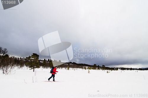 Image of Skiing in Winter