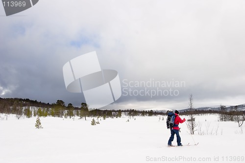 Image of Skiing in Winter