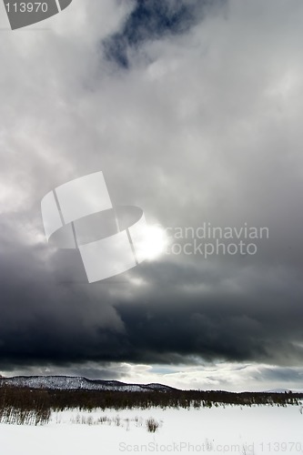 Image of Winter Landscape