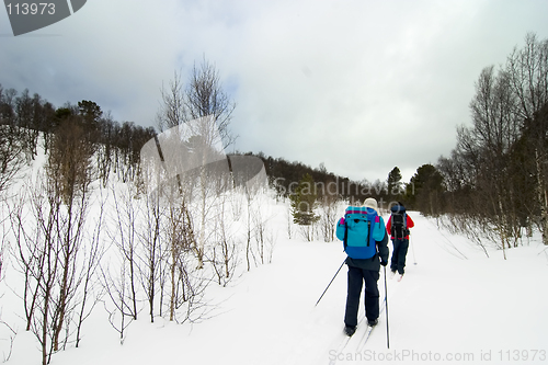 Image of Skiing in Winter