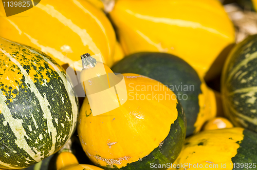 Image of Pumpkins