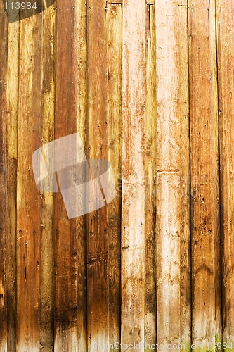 Image of Wood Texture