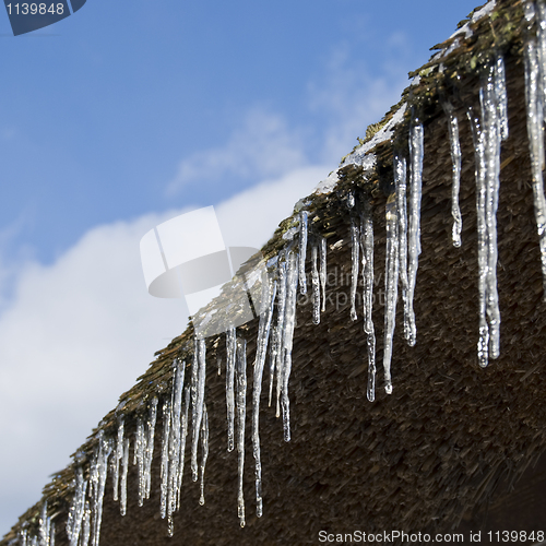 Image of Icicles