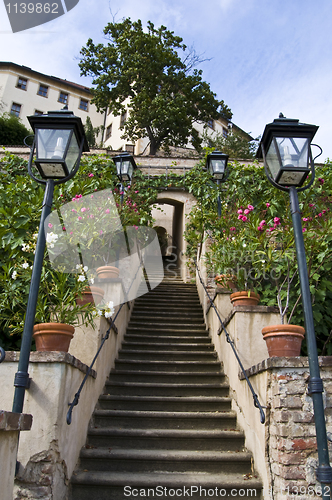 Image of Castle garden