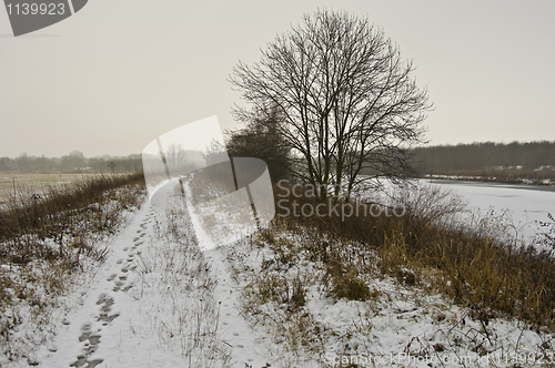 Image of Winter landscape