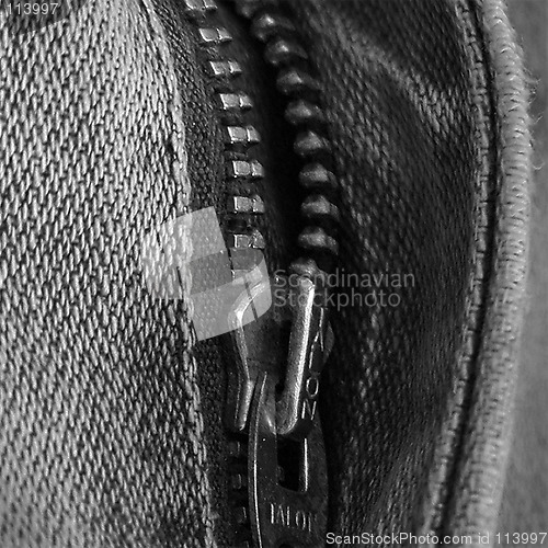 Image of Zipper Detail
