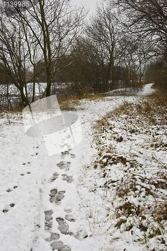 Image of Winter landscape