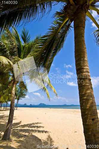 Image of Thai Beach