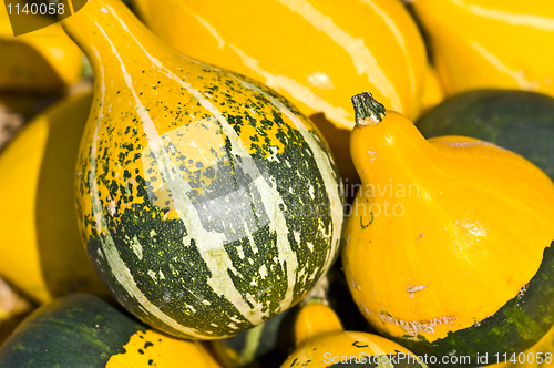 Image of Pumpkins