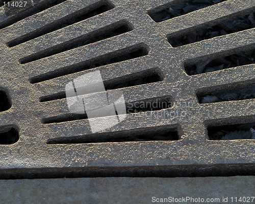 Image of Tree Grate Detail