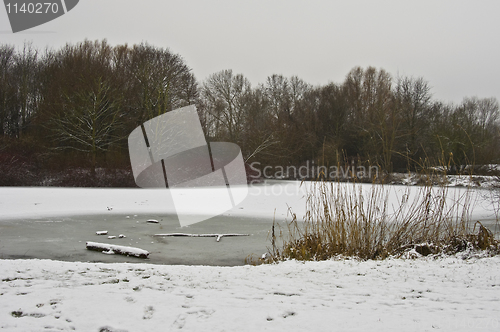 Image of Winter landscape