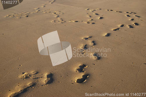 Image of footprints in the sand