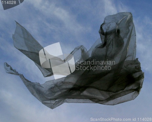 Image of Floating Plastic