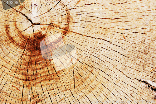 Image of Wood texture