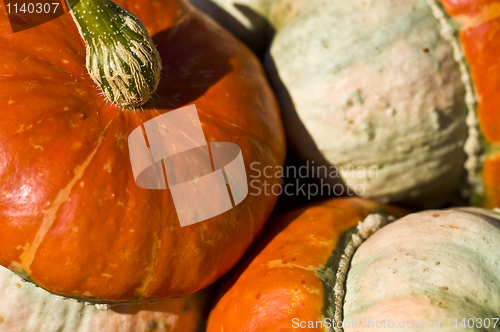 Image of Pumpkins