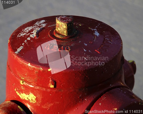 Image of Fire Hydrant Detail