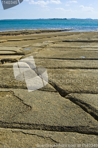 Image of Susan Hoi Shell Fossil Beach Cemetery