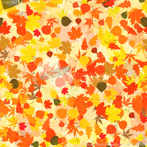 Image of Autumn leaves background. EPS 8