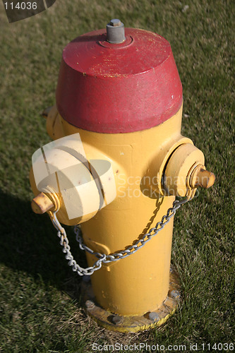 Image of Yellow Fire Hydrant