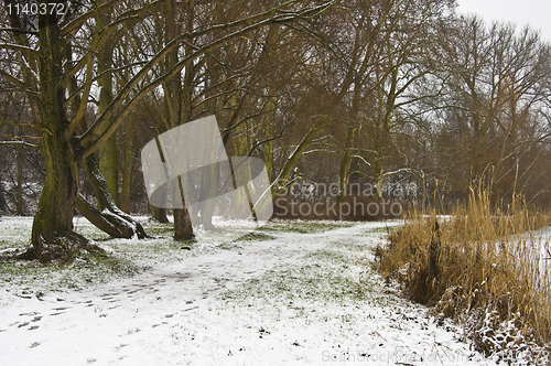 Image of Winter landscape