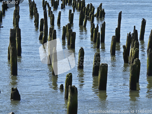 Image of Groynes