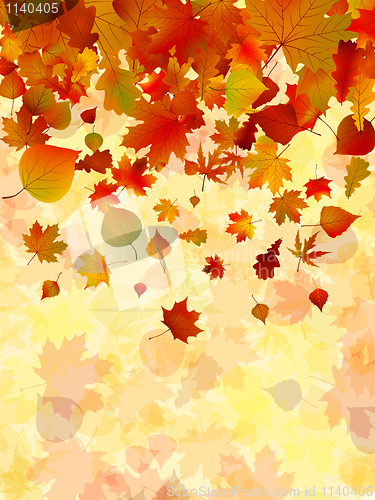Image of Autumn leaves background. EPS 8