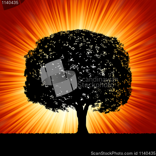 Image of A tree at sunrise. EPS 8