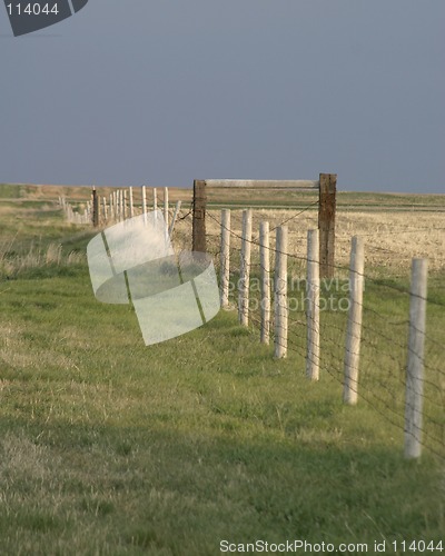 Image of Prairie Landscape