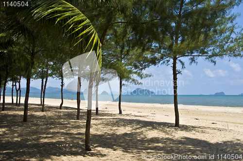 Image of Thai Beach