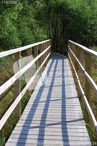 Image of Footbridge