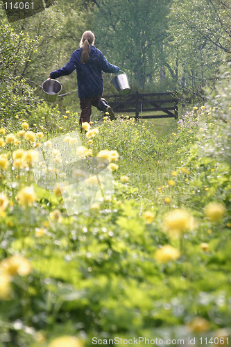 Image of Fetching Water