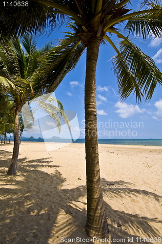 Image of Thai Beach