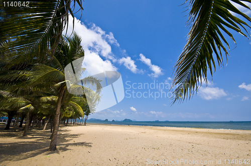 Image of Thai Beach