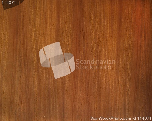 Image of Wood Texture