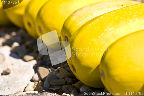 Image of Pumpkins