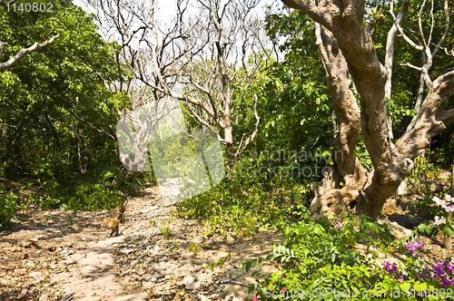 Image of Garden of Phra Nakhon Khiri