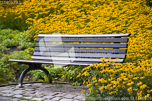 Image of Bench