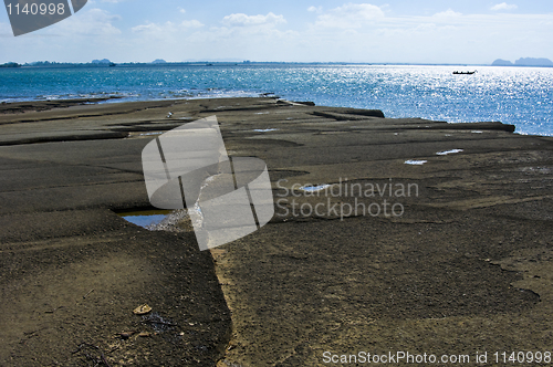 Image of Susan Hoi Shell Fossil Beach Cemetery