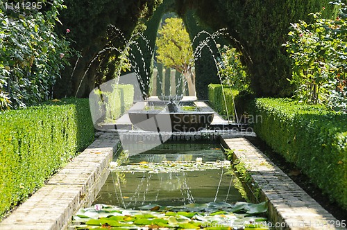 Image of Fountain and pool in the Generalife gardens in Granada, Spain