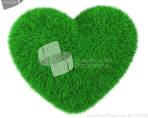 Image of Heart made of green grass isolated