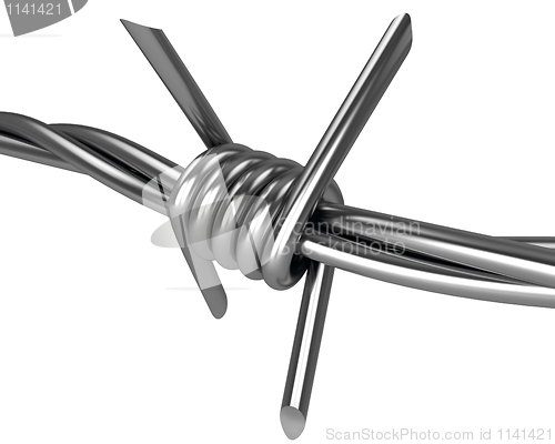 Image of Barbed wire spike closeup