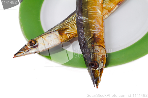 Image of Needlefish