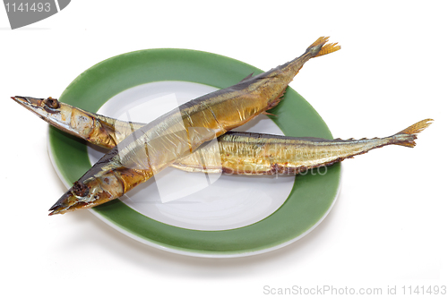 Image of Needlefish